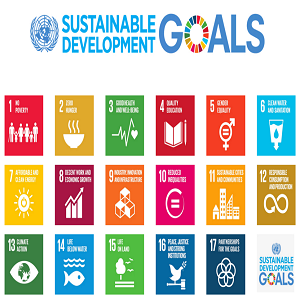 Sustainable Development Goals Workshop