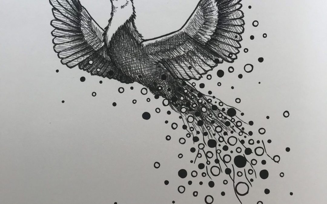 The Phoenix Rises – adapting to 2020