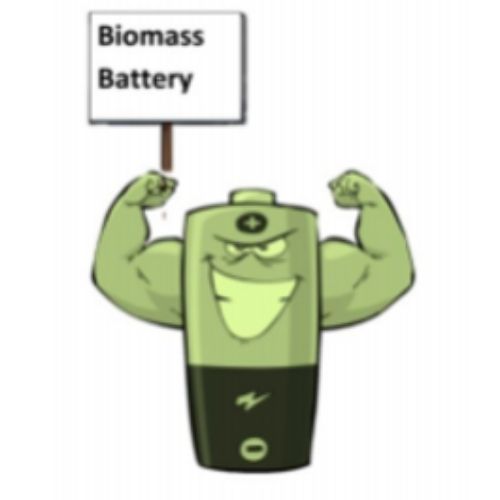 Biomass Battery