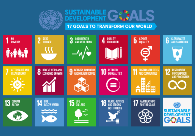 S4TP & The UN Sustainable Development Goals: Our Progress & Promises