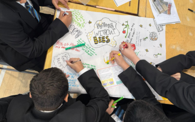 What Is a Youth Climate Partnership for Schools in 2026 